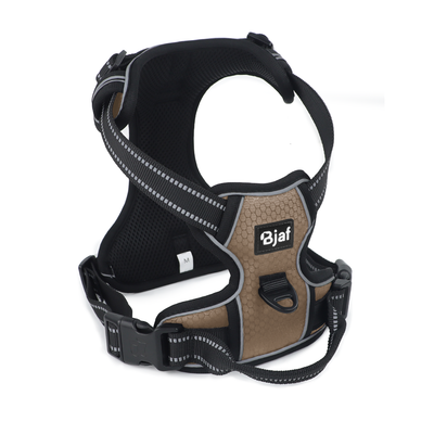 Bjaf - Easy walk pro hundesele - Totteland.dk