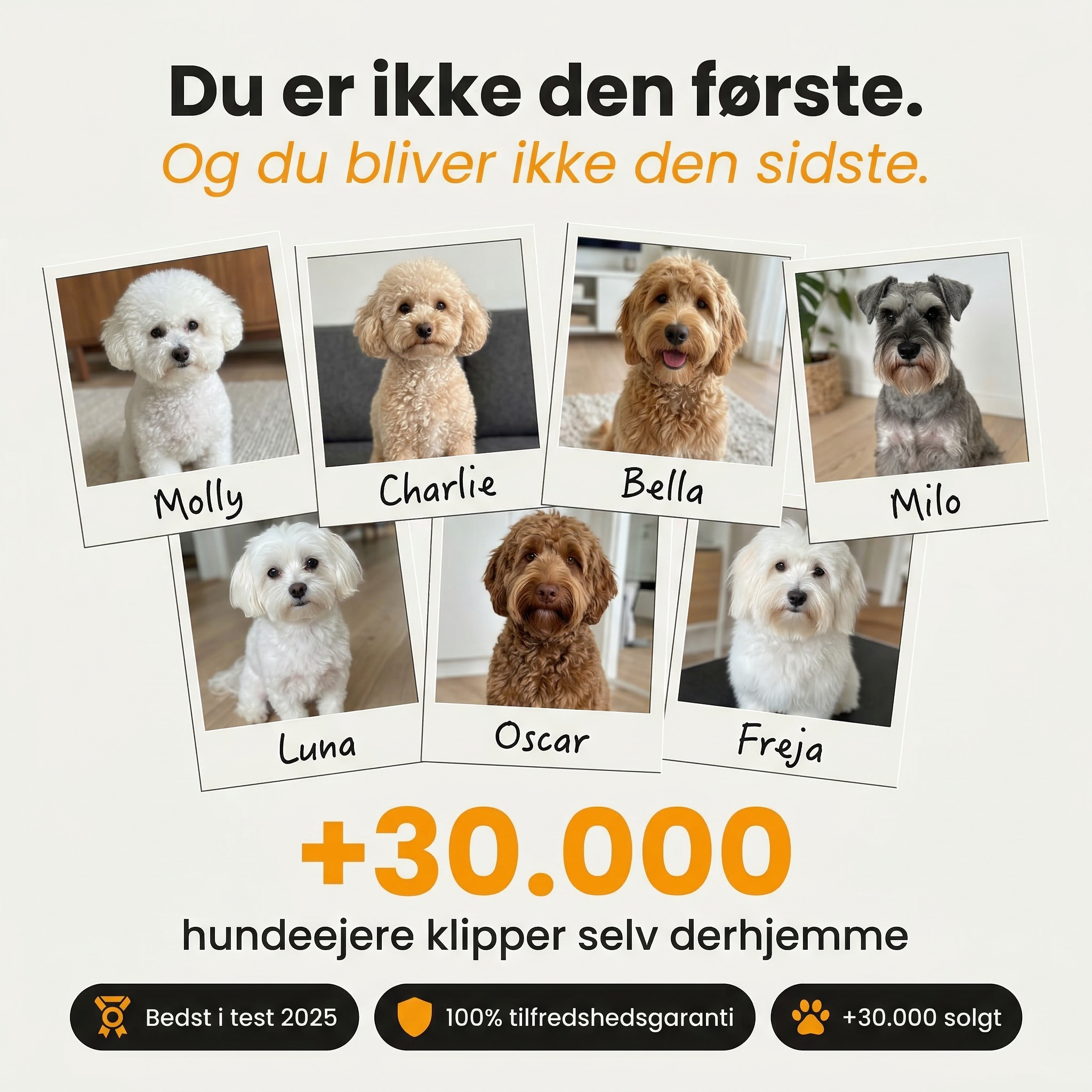 Bjaf Keramisk Pro Hundetrimmer | Bedst i test 2025