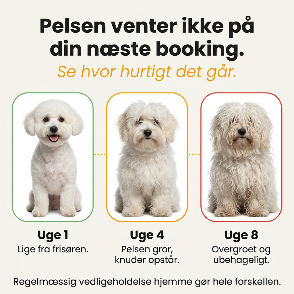 Bjaf Keramisk Pro Hundetrimmer | Bedst i test 2025