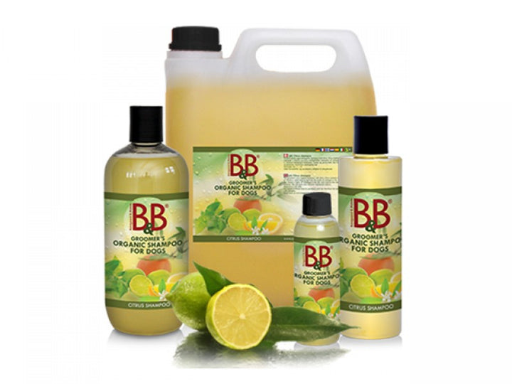 B&B shampoo med citrus - Totteland.dk